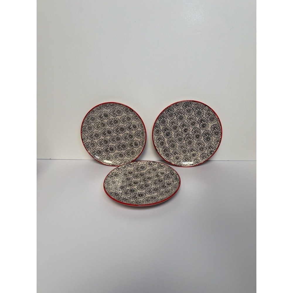 Yokohama Studio Hand Painted Daisy Floral Pattern Plates with Red Rim - Set of 3